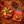 Fruit Chaat Seasoning - 50g