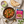 Karahi Recipe Mix - Buy 3 Get 1 Free Offer